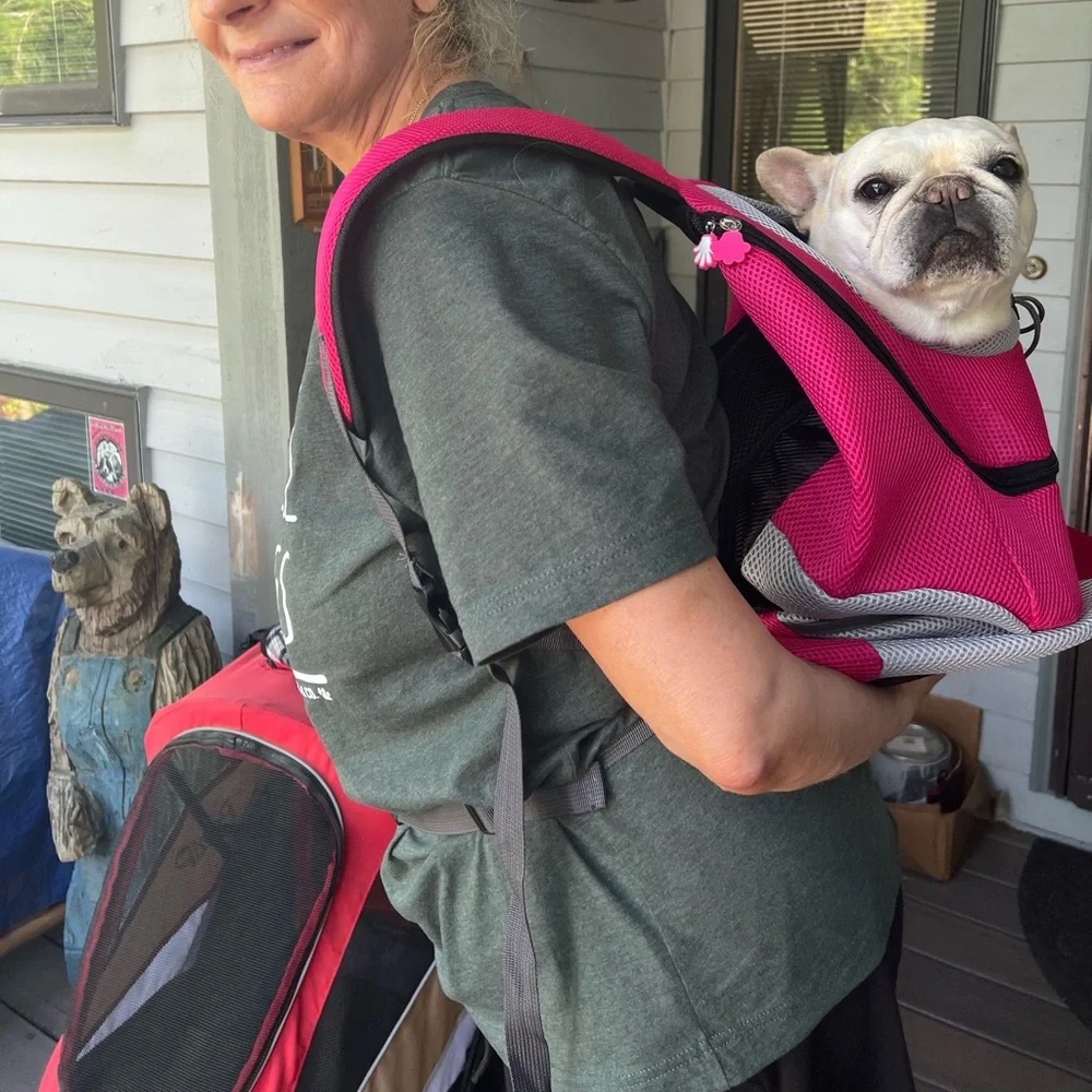 Dog carrier NWOT
